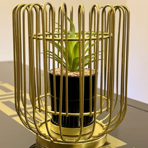 Metal Cage With Ceramic Vase
