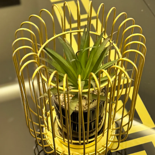 Metal Cage With Ceramic Vase