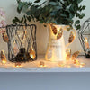 LED Feather Sting Lights