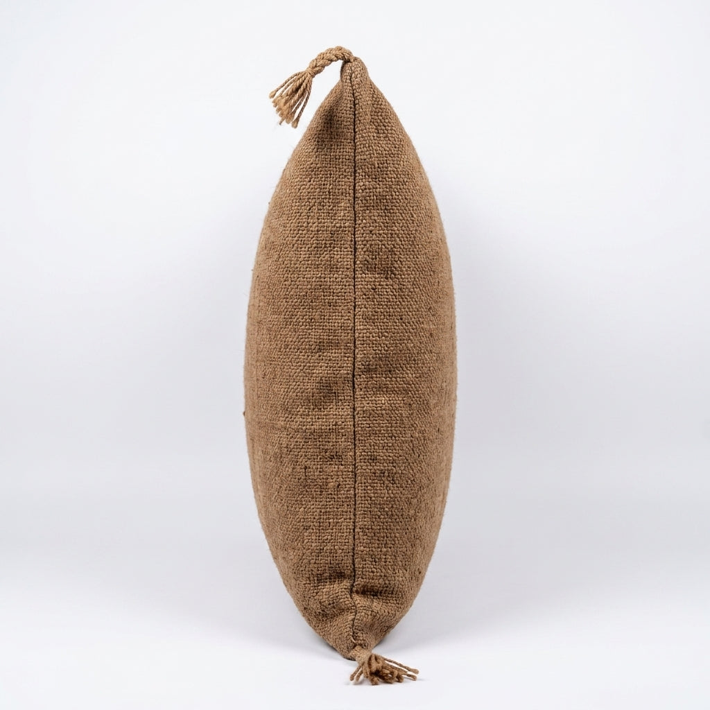 Coffee brown Moroccan sabra pillow