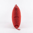 Red Moroccan sabra pillow