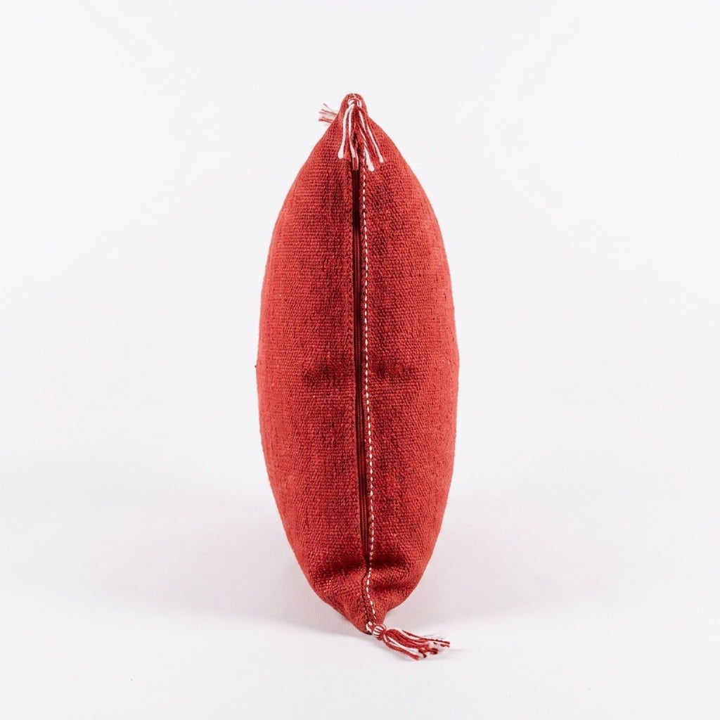 Red Moroccan sabra pillow